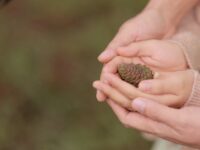 Praying with Pre-Schoolers for Decision-Making Wisdom