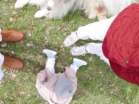 Adventure Holidays for New Parents