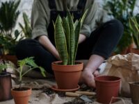 Top Kids Apps for Nature Exploration