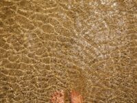 Benefits of Water Play for Babies