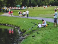 Beginner’s Bird Watching Guide for Families