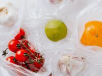 Storing & Packing Fresh Snacks for Long Trips