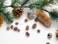 Natural Materials Play Activities for Babies