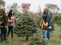 Teaching Preschoolers Patience Through Christian Values