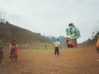 Families’ Affordable Cultural Exchange Programs
