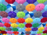 Algorithms in Early Learning: A Vital Role