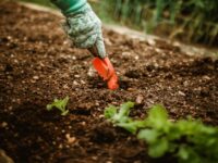 Kids’ Eco-Friendly Travel Activities for Sustainability