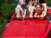 Best Time to Visit Disneyland with Kids
