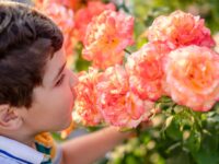 Instilling Nature Respect in Kids on Family Trips