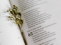 The Importance of Trust in Bible Stories