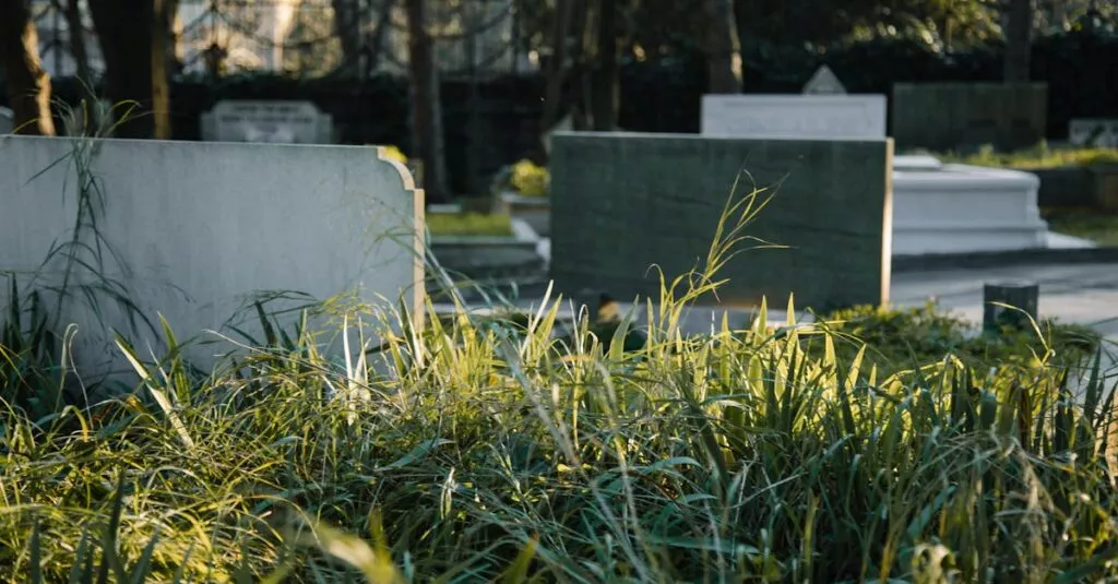 Downloaded Image152053786e6a