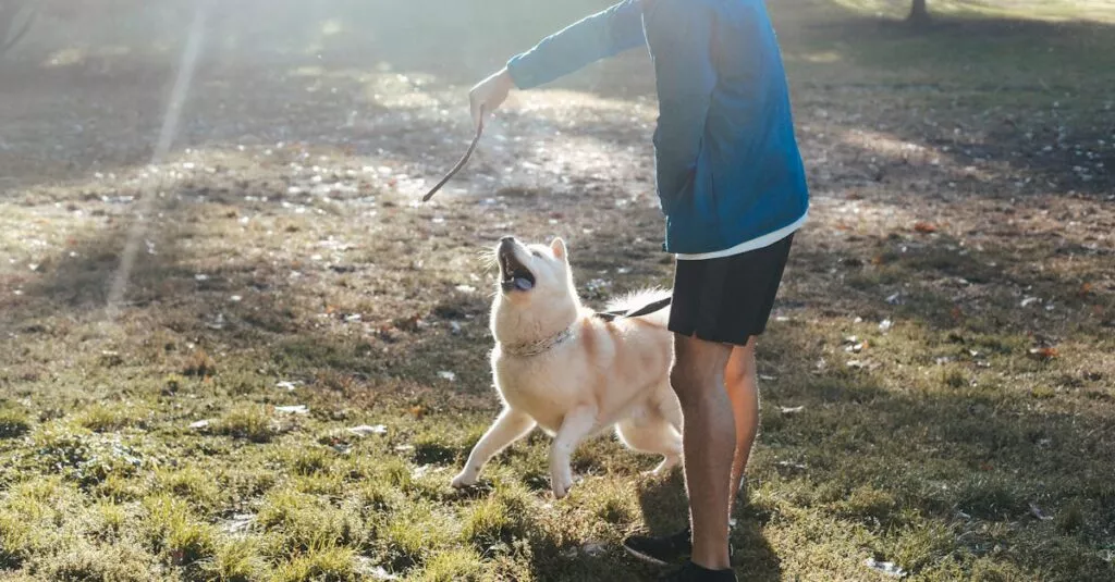 Downloaded Image15233b6bf292