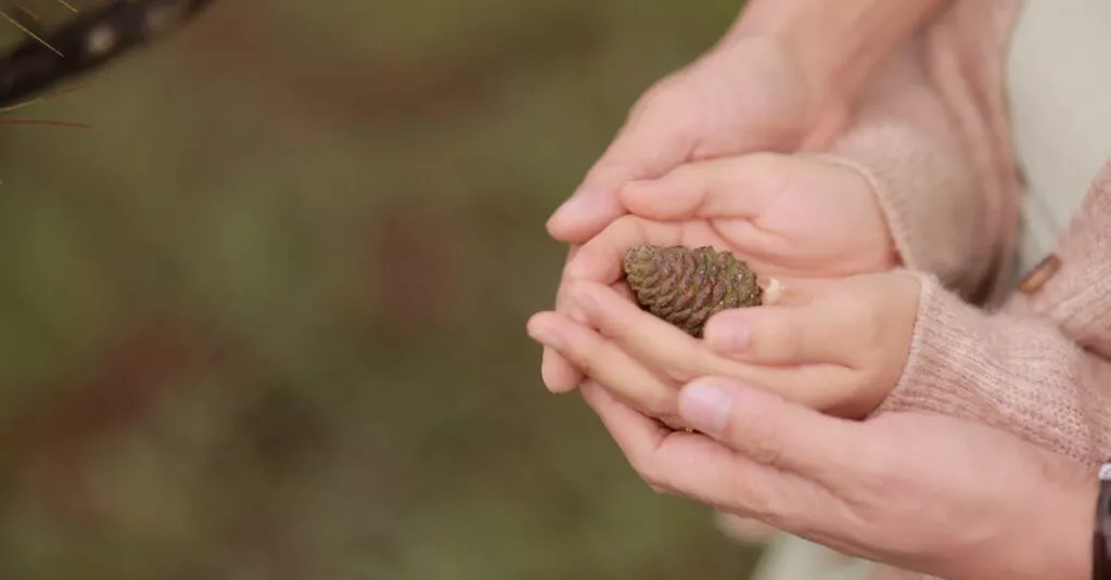 Downloaded Image1a1e34670419