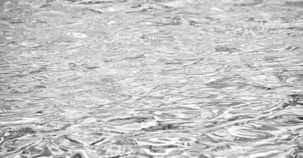 Downloaded Image1a1e7ba50a43