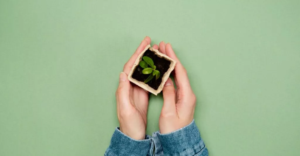 Downloaded Image1dbf1284de5b