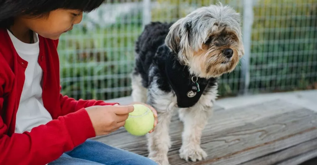 Downloaded Image1dbf59b9cae2