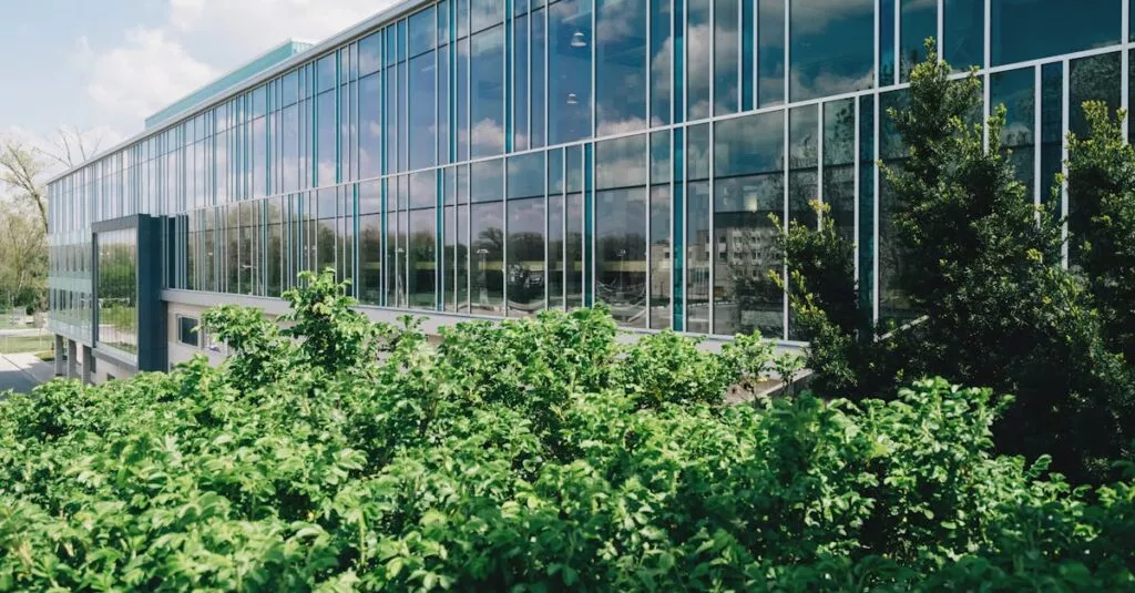 Downloaded Image1dbf6a302403