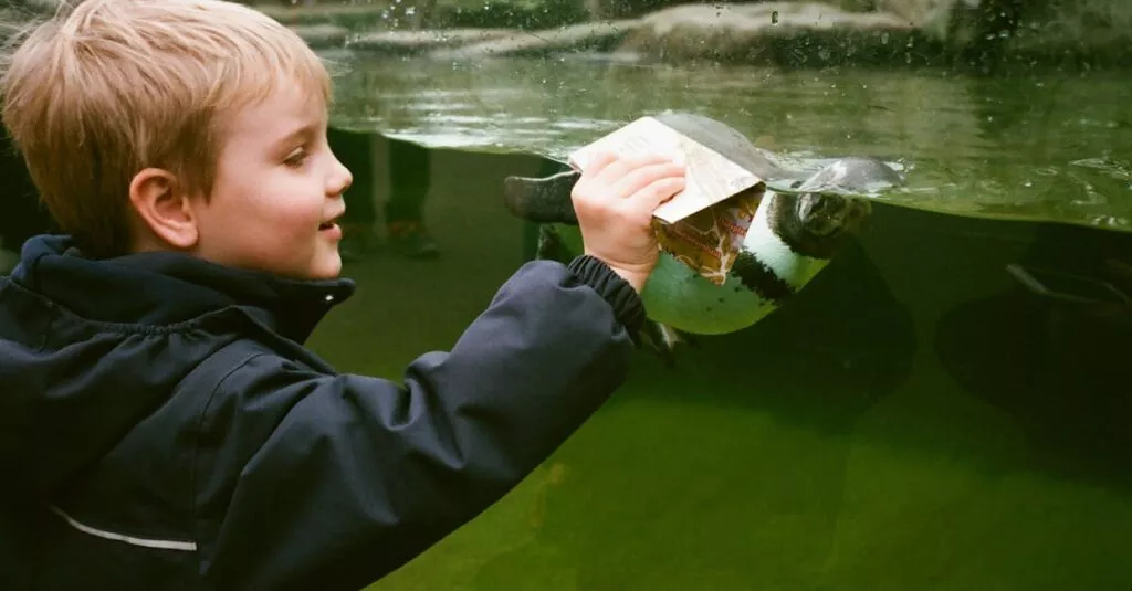 Downloaded Image1df2453f9a6d