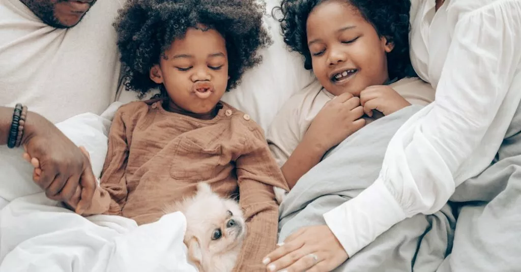 Downloaded Image1df25aed0711