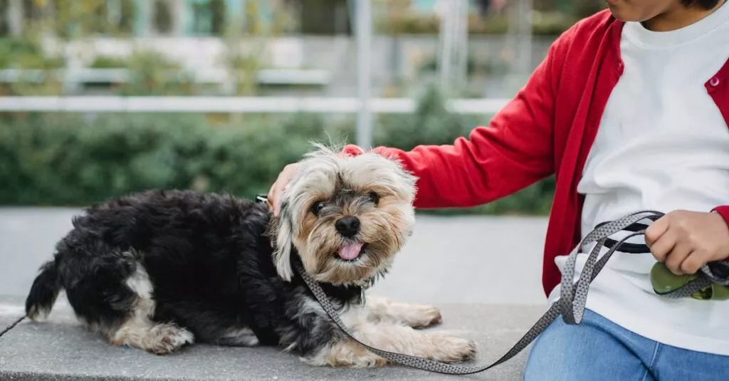 Downloaded Image1df292c7e53