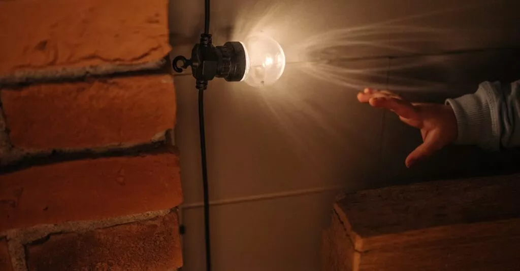 Downloaded Image1e3a28b11b68