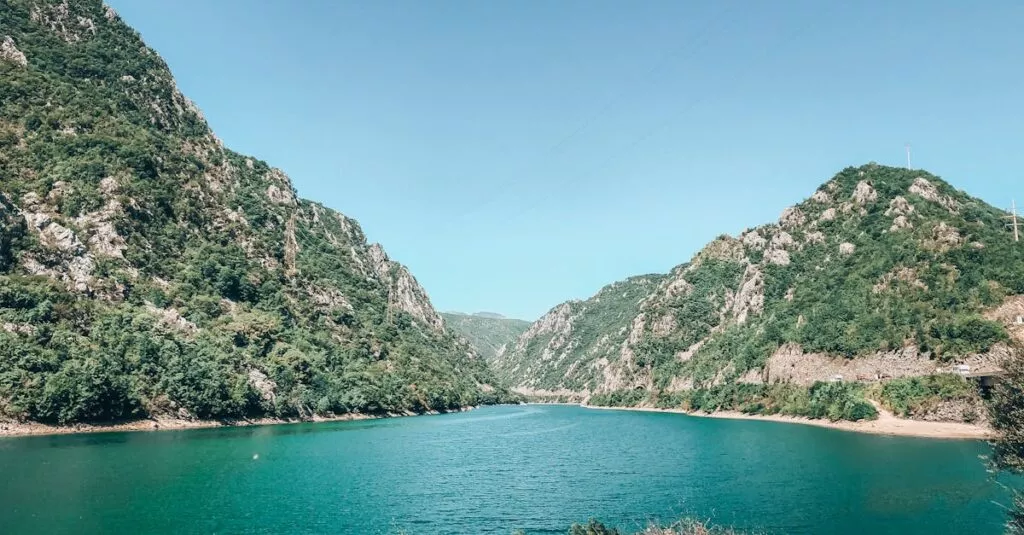 Downloaded Image2502289990db