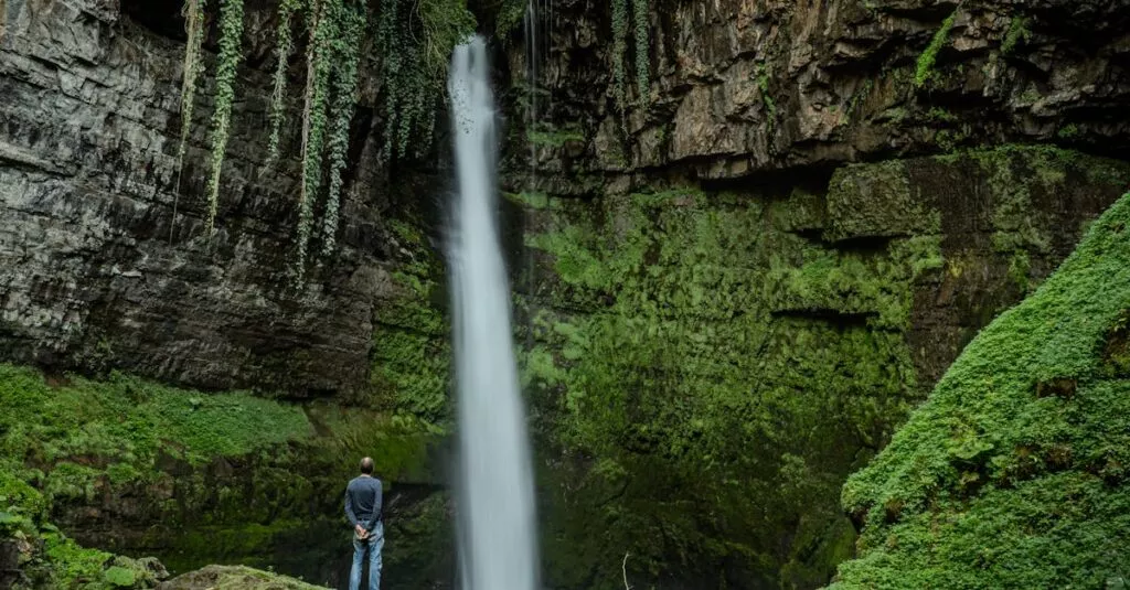 Downloaded Image25023bc402ad