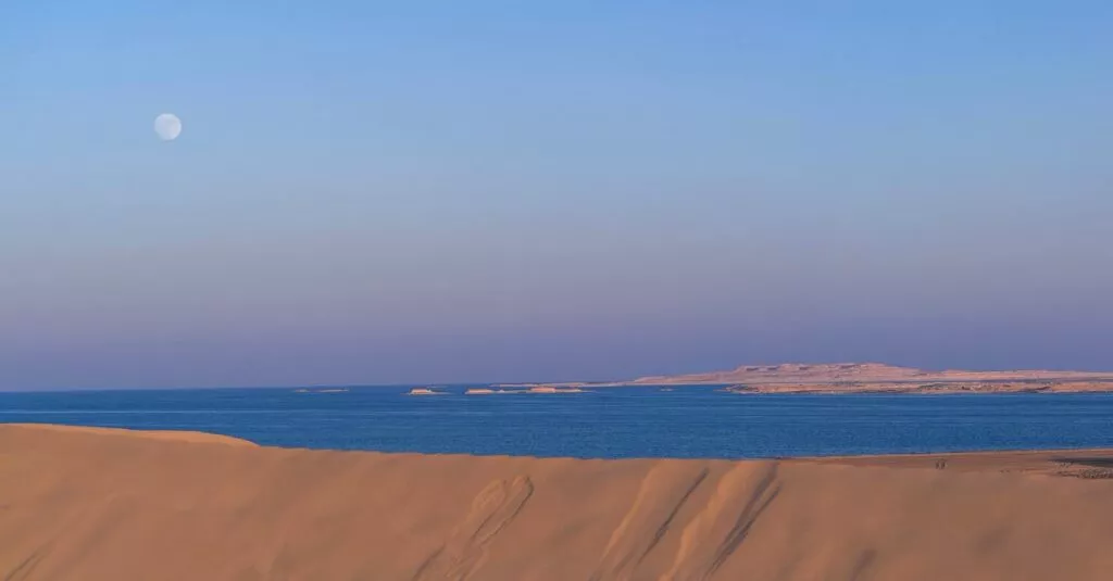 Downloaded Image25027d12c39e