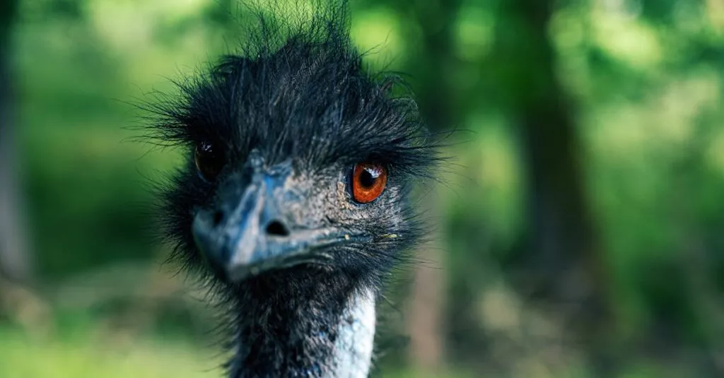 Downloaded Image2502f6250ec