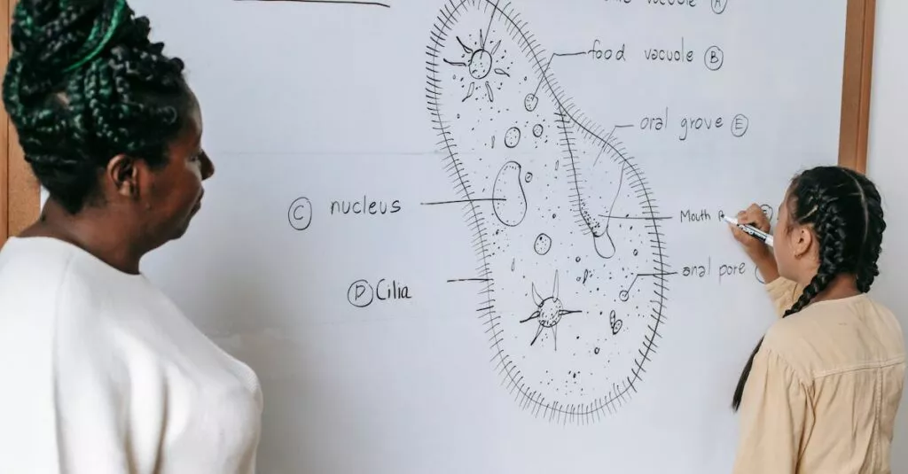 Downloaded Image3094313a2dbe