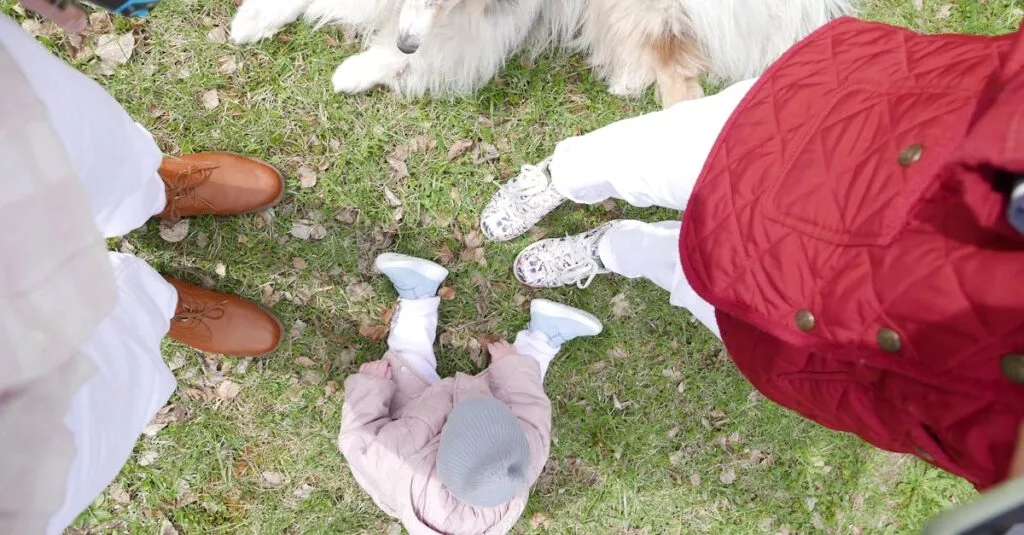 Downloaded Image39d13a83d519