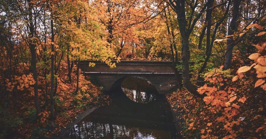 Downloaded Image3b40306ac7a9