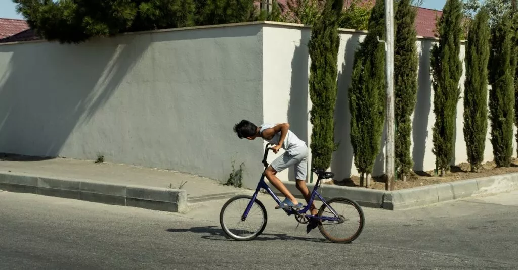 Downloaded Image3b404925ec1e