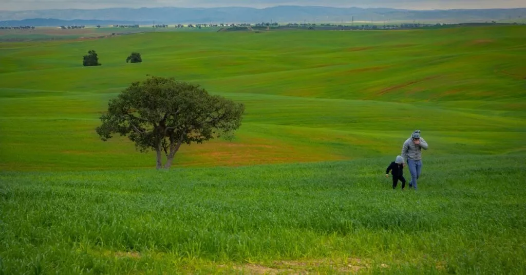 Downloaded Image46d22b58816