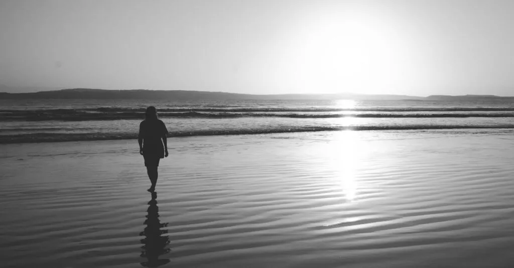 Downloaded Image4b432161260f