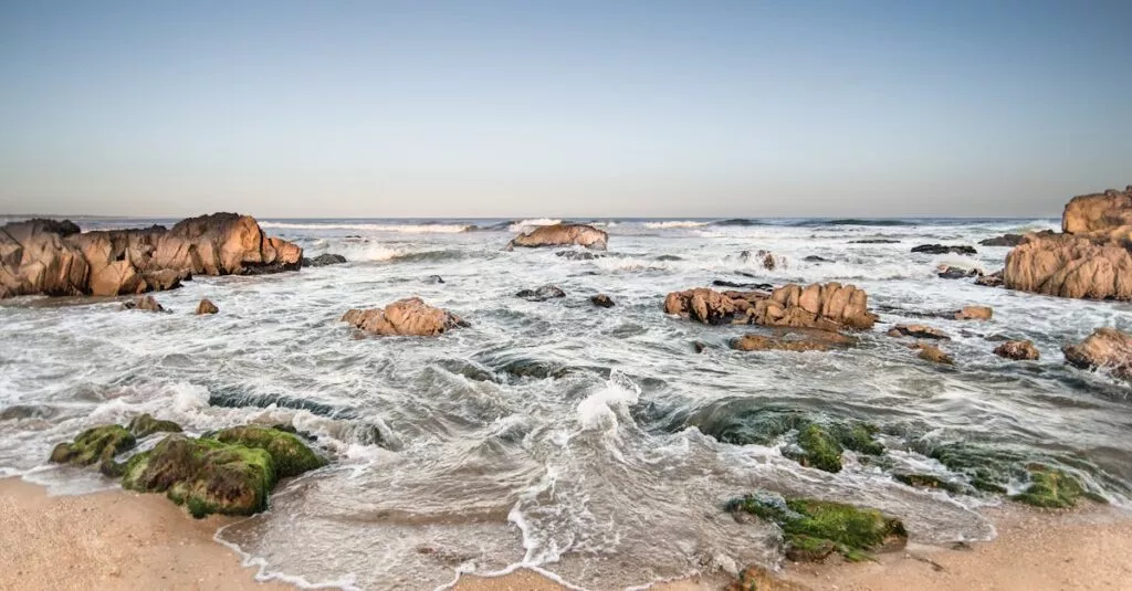 Downloaded Image4b4341659b7c