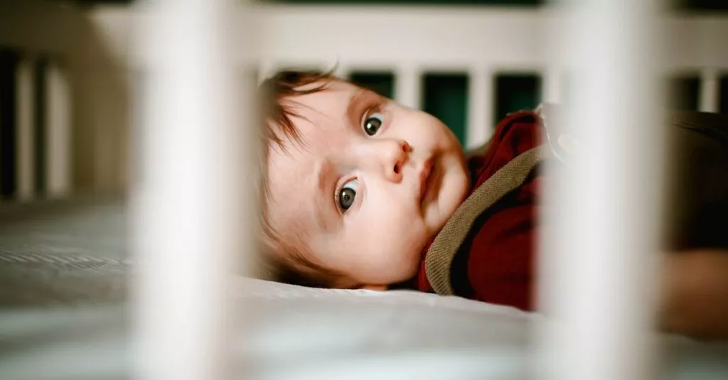 Downloaded Image5c96264ba3f8