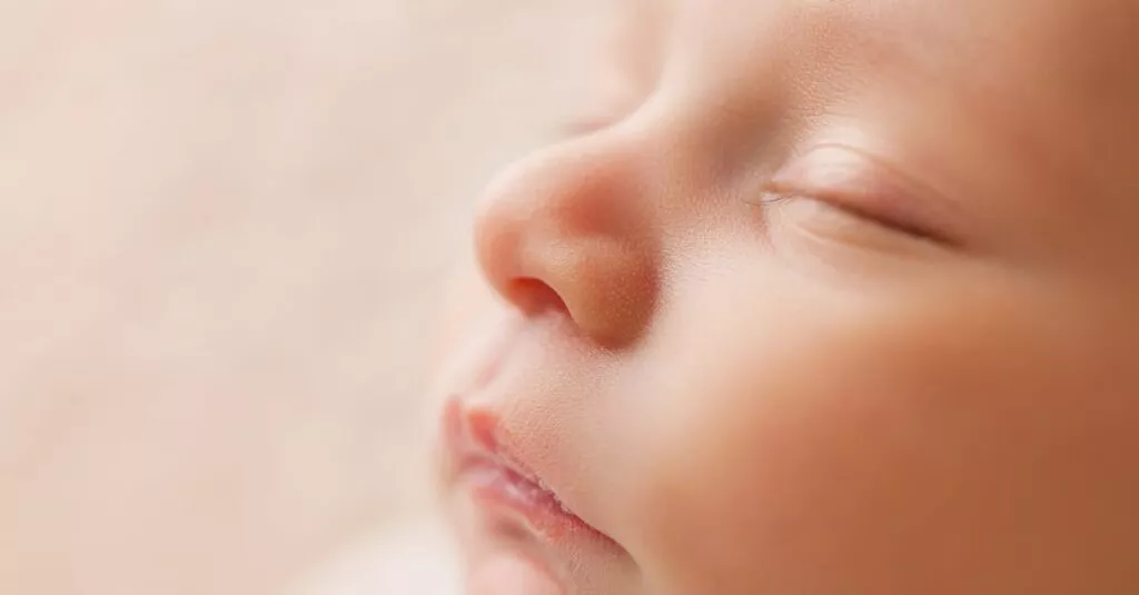 Downloaded Image5c9663afc964