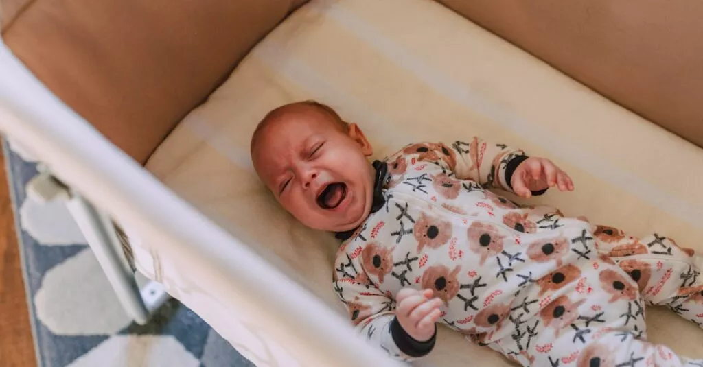 Downloaded Image5c96cd736b9