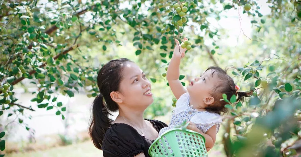 Downloaded Image641726f91da1