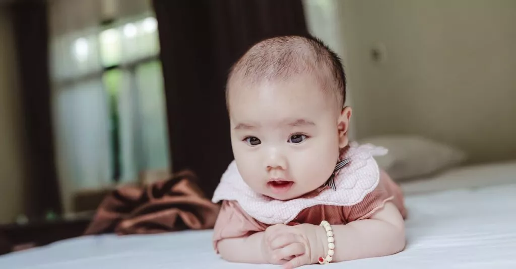 Downloaded Image64177c8902e2