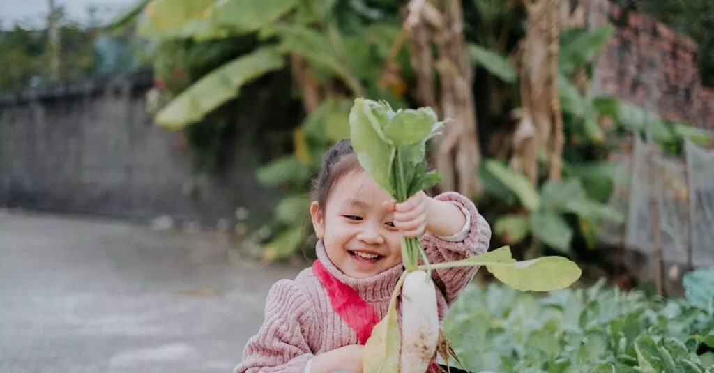 Downloaded Image67de4277eee1