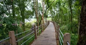 Downloaded Image71015e094a10