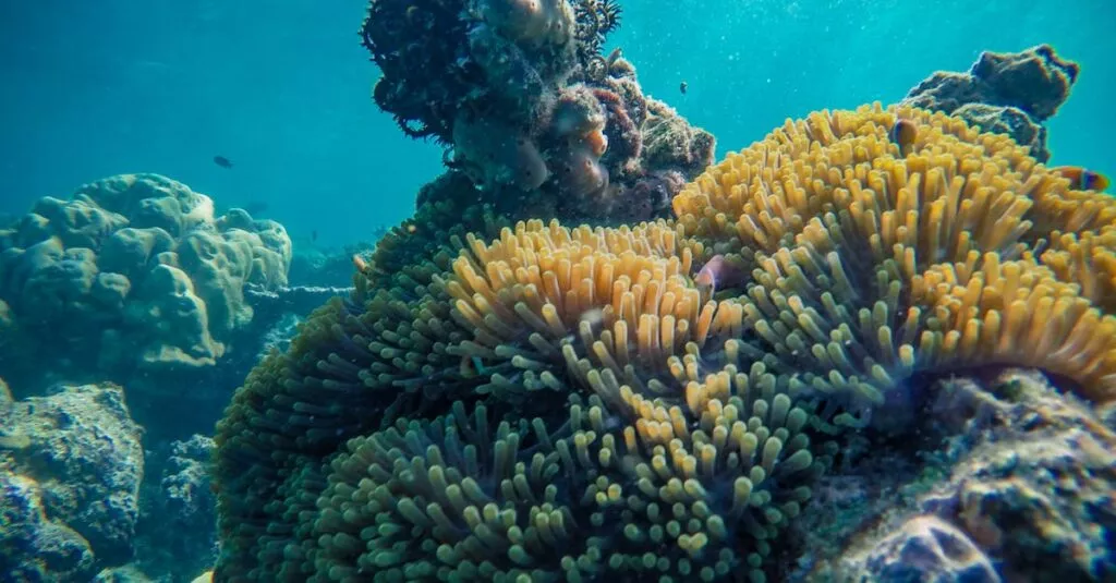 Downloaded Image7d31333d9b9f