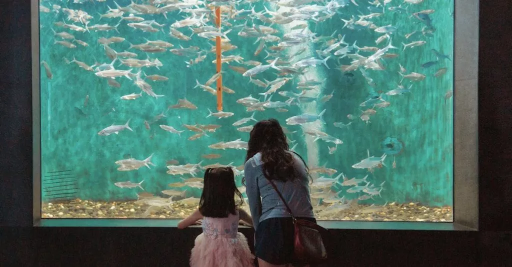 Downloaded Image7d3151a74dde