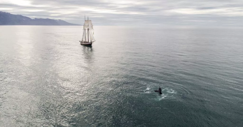 Downloaded Image7d316d9cebec