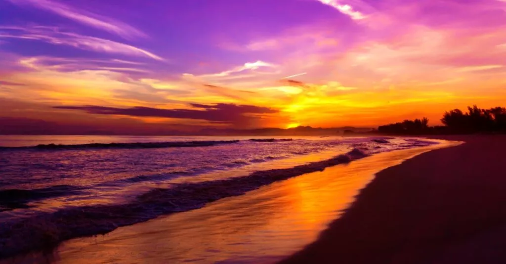 Downloaded Image7d317d6a4cfc