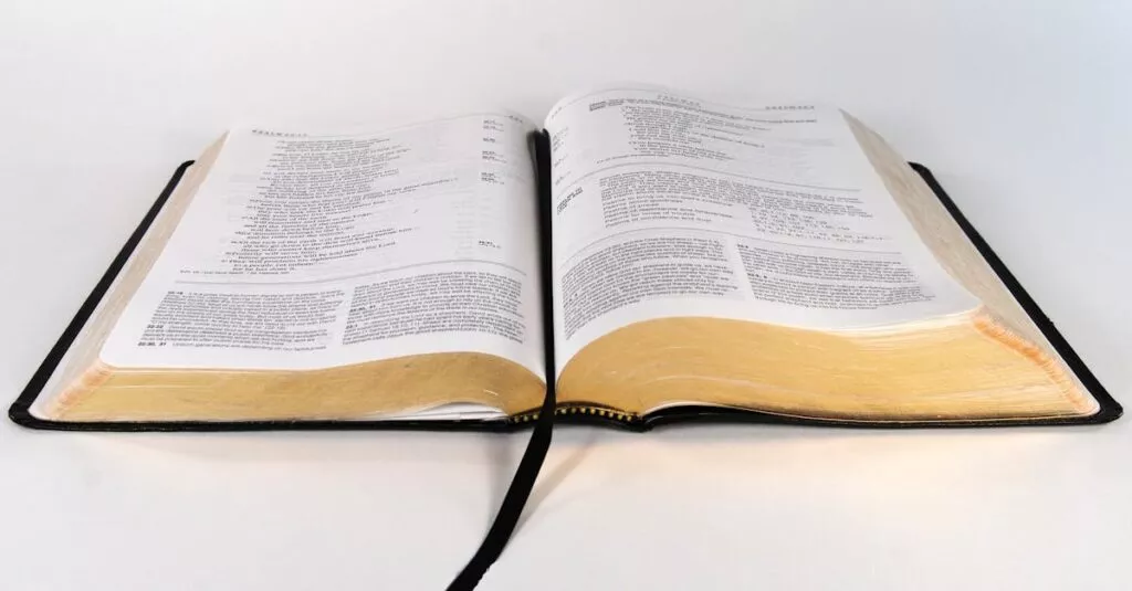 Downloaded Imagebf144ff2f97