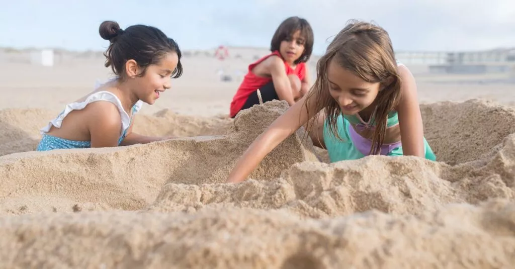 Downloaded Image16fb6d7c3468