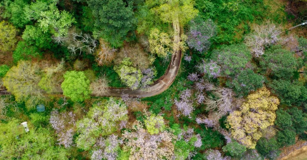 Downloaded Image18f8358adfe7